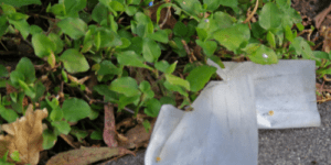 Plastic free July