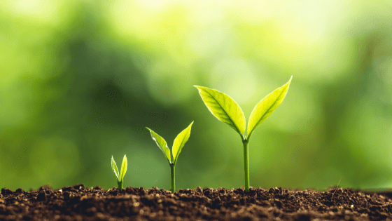 Occupational Health Clinic UK