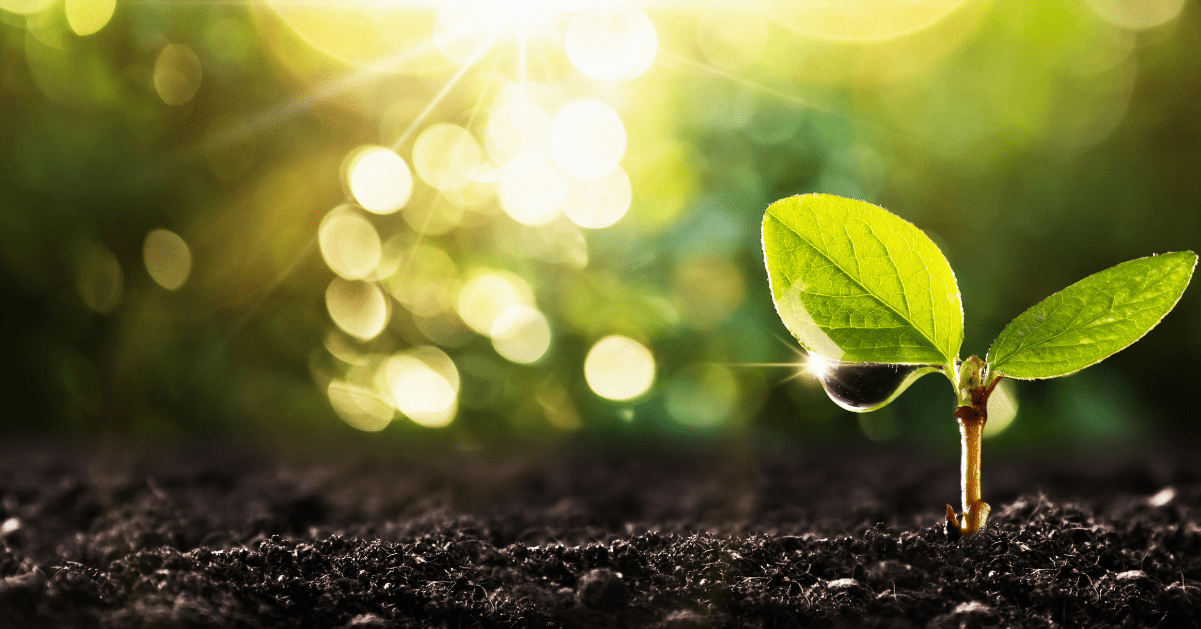 Hampton Knight Alcohol and Drug Testing UK_How it all began