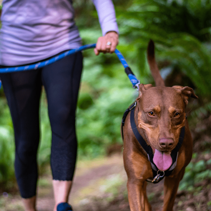 mental and emotional wellbeing - go outdoors