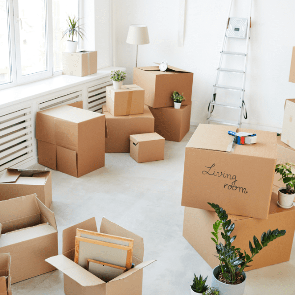 Decluttering boxes