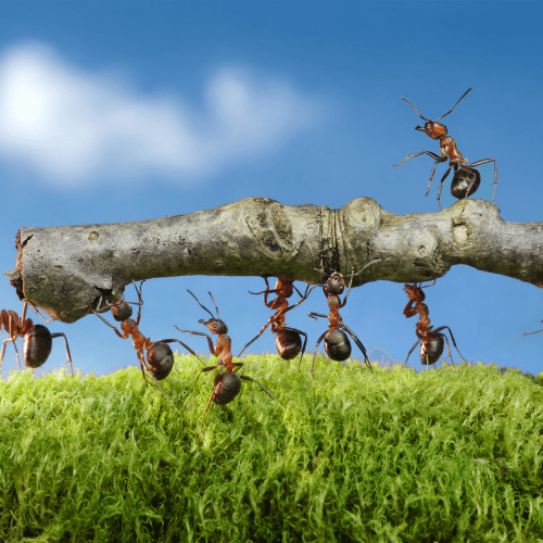 Corporate Health - Why It’s Important For Your Business